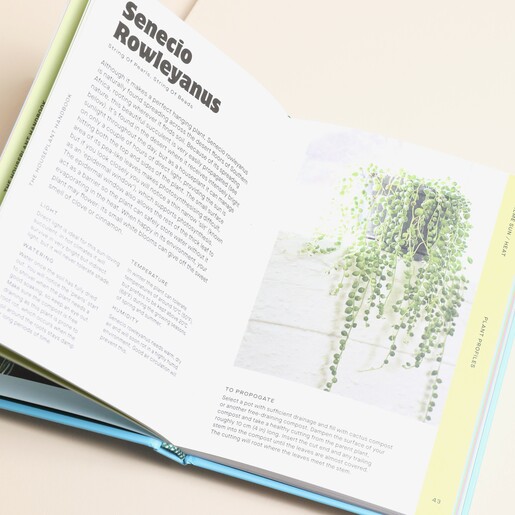 The Houseplant Handbook Inside