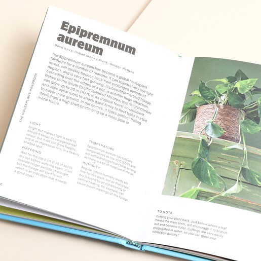 The Houseplant Handbook Inside