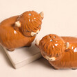 Sass & Belle Highland Cow Salt & Pepper Set