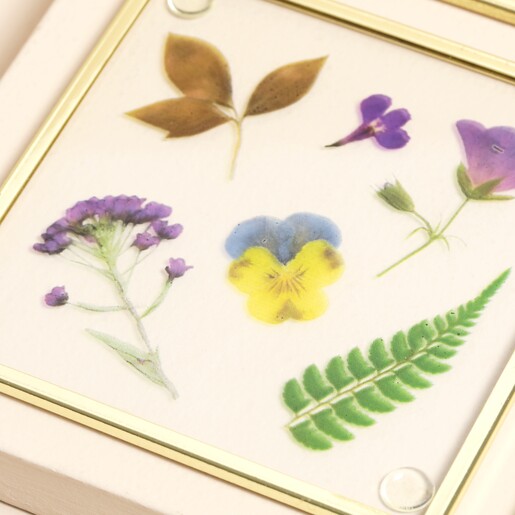 Sass & Belle Flower Print Glass Coasters