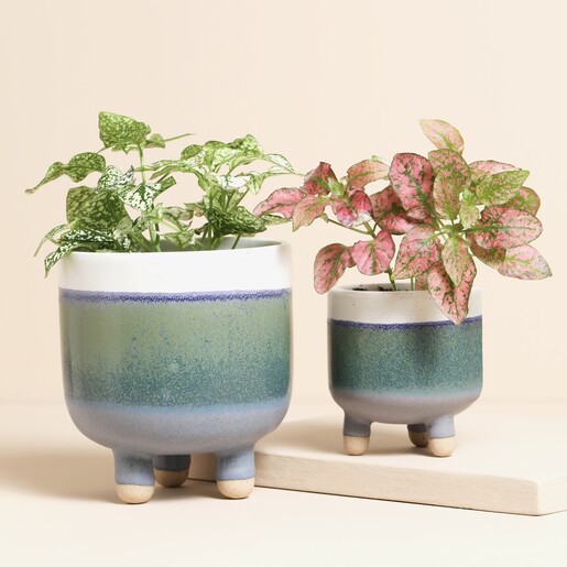 Multiple Variations Available