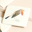 Sass & Belle Set of 4 Vintage Birds Coasters