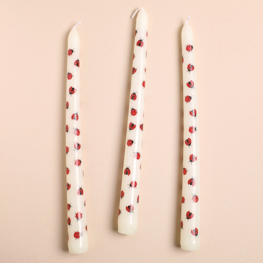 Close Up of Set of 3 Love Bug Ladybird Taper Candles