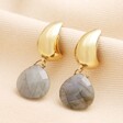 A pair of formal occasion earrings featuring a large labradorite stone