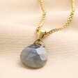 Semi-Precious Labradorite Pendant Necklace in Gold