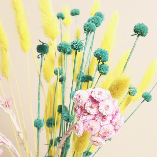 Close Up of Dried Flowers
