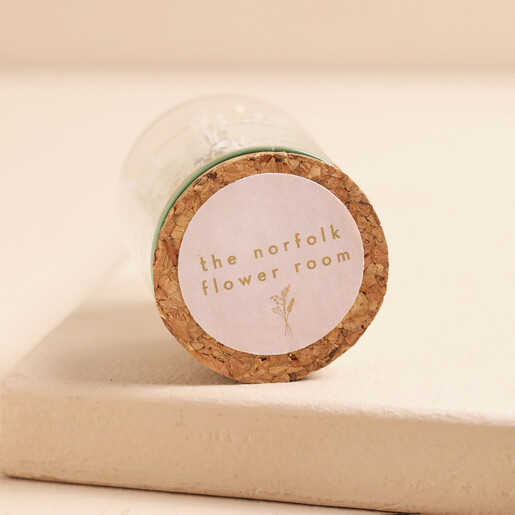 Mini Seashells Dried Flowers Glass Dome