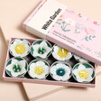 Hana Blossom Assorted White Garden Flower Scented Tealights in box on neutral background