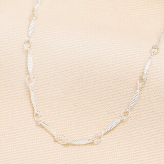 Fish Chain Necklace in Silver