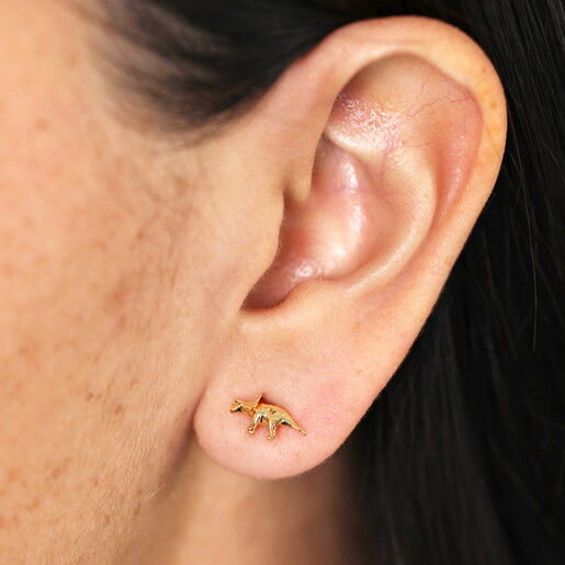 close up of model wearing dino stud earring in lobe