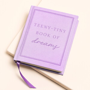 Teeny Tiny Book of Dreams Notebook