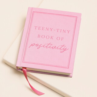 Teeny Tiny Book of Positivity Notebook