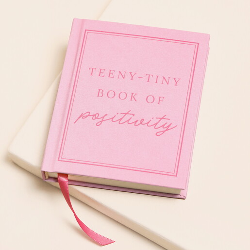pink mini notebook against a pale pink background
