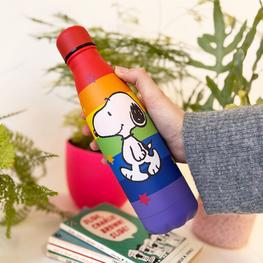 Peanuts inspired stainless steel water bottle