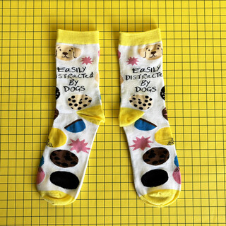 House of Disaster Small Talk 'Distracted By Dogs' Socks