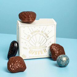 The Chocolate Gift Company The World Is Your Oyster Praline Seashell Chocolates