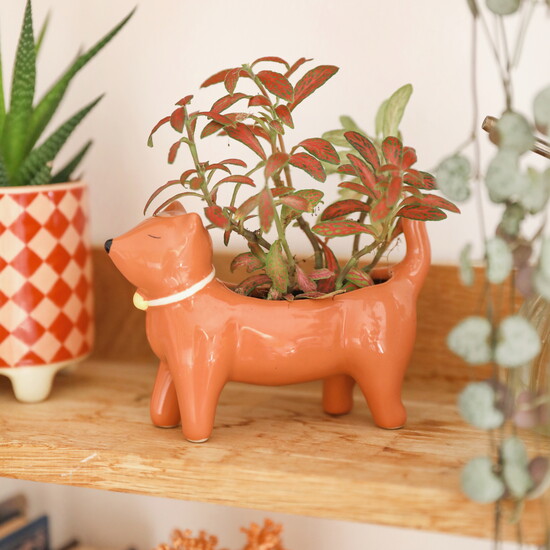 Orange Ceramic Standing Cat Planter