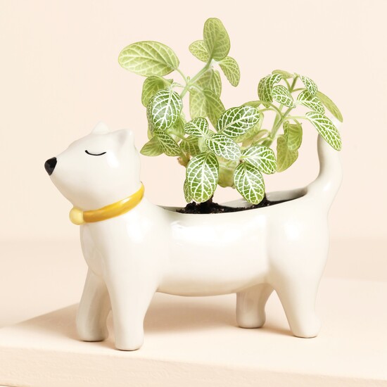 Ceramic White Cat Standing Planter