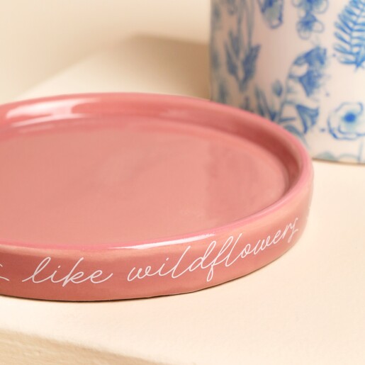 close up of pink planter dish with text