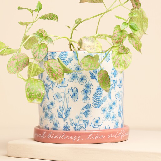 blue planter with green plant against pale pink background