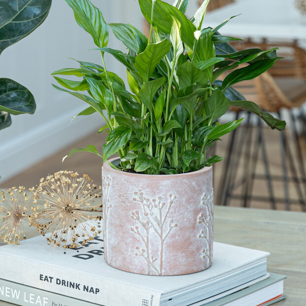 Ivyline Small Hallie Terracotta Planter