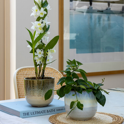 two toned olive planter made of ceramic