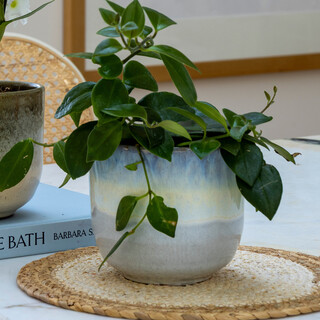 Ivyline Small Rowe Two Toned Blue Reactive Planter