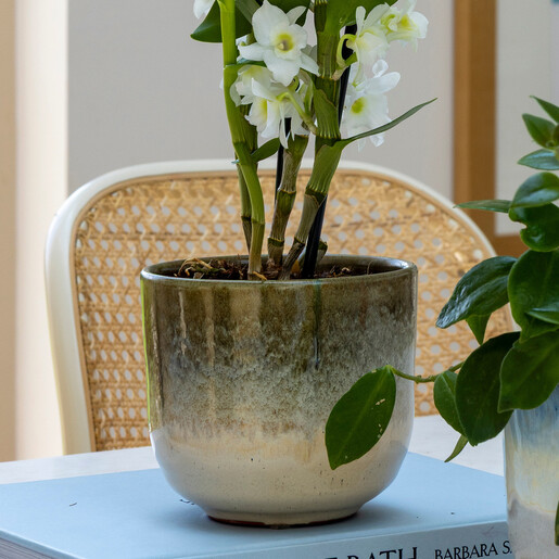 two toned olive planter made of ceramic