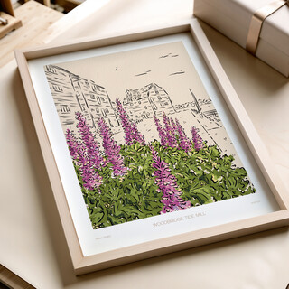 Jenna Crush Illustration Woodbridge A3 Print