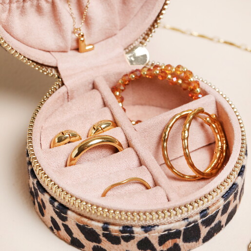 organisation features of travel jewellery case