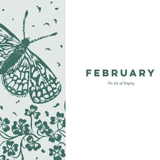 moth illustration
