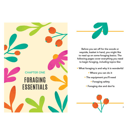 Bookspeed The Little Book of Foraging