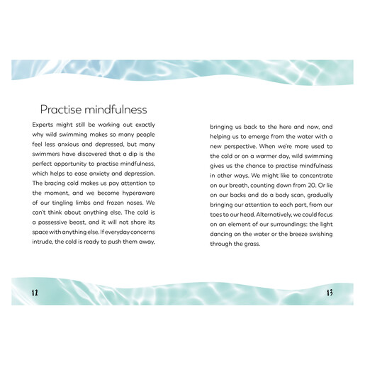 The Little Book for Wild Swimmers	