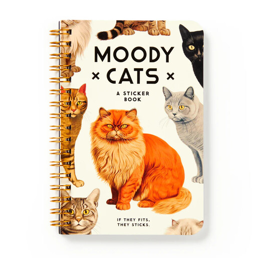 grumpy cat sticker book