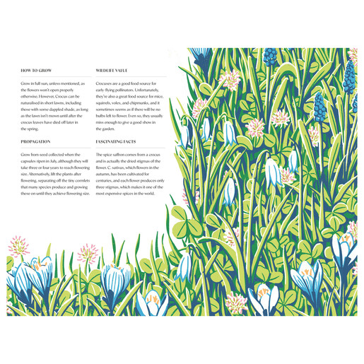 Planting for a Year of Flowers	Book