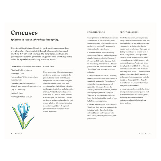 Planting for a Year of Flowers	Book