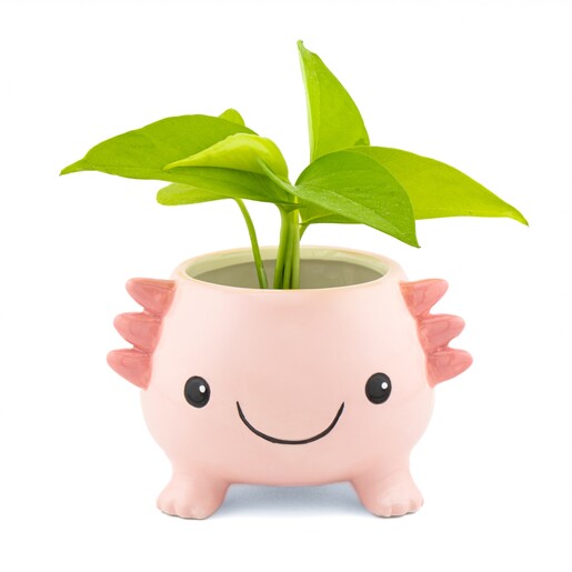 Sass & Belle Axolotl Planter