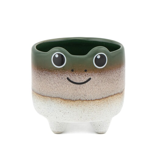 Sass & Belle Mojave Frog Planter
