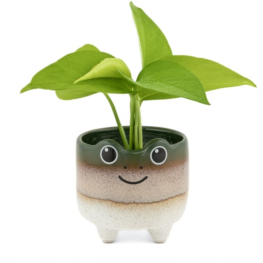 Sass & Belle Mojave Frog Planter