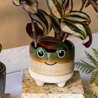 Sass & Belle Mojave Frog Planter