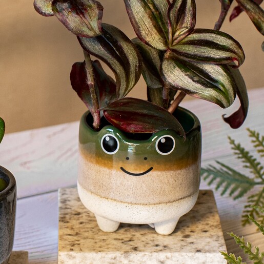 Sass & Belle Mojave Frog Planter