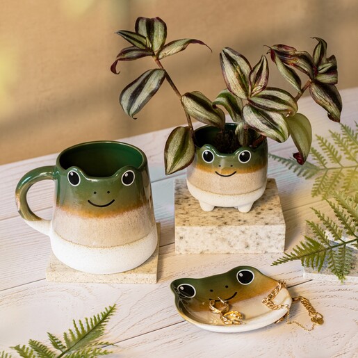 Sass & Belle Mojave Frog Planter