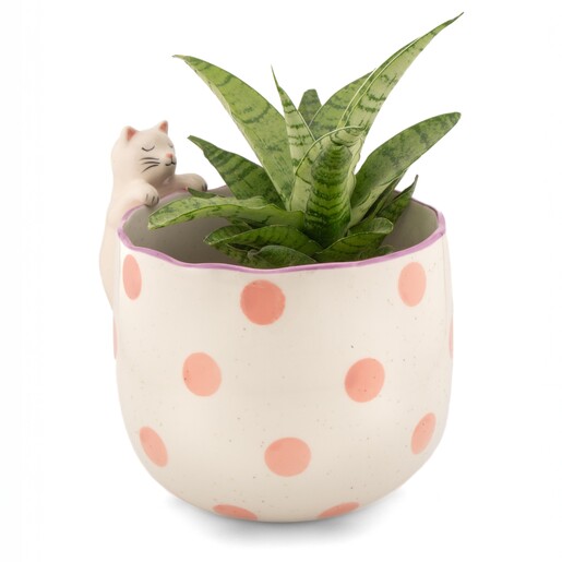 Sass & Belle Peeking Cat Planter
