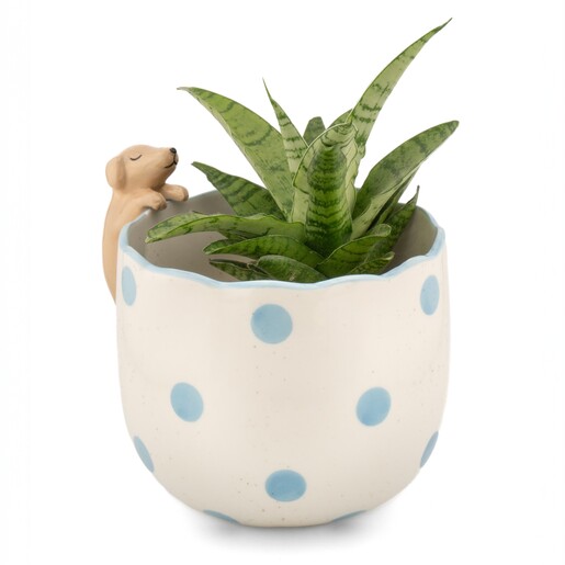 Sass & Belle Peeking Dog Planter