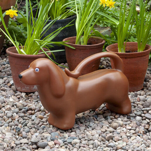 brown sausage dog watering can