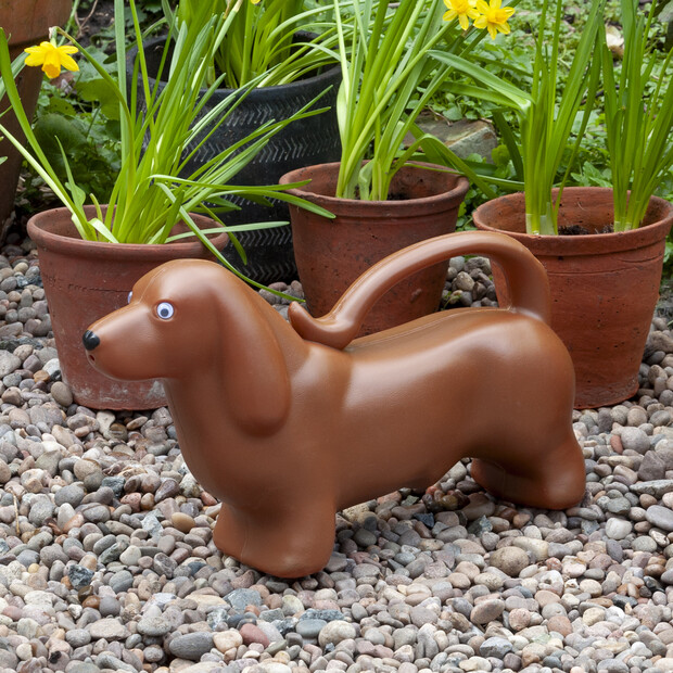 Rex Sausage Dog Watering Can