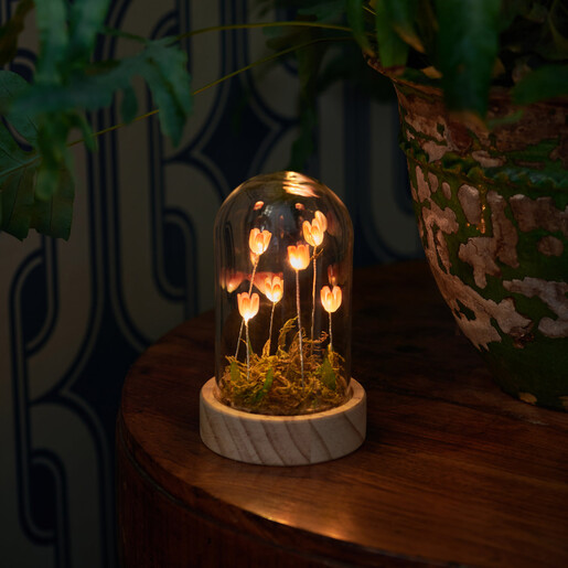 Lit floral LED dome ornament casting a warm glow on a wooden table