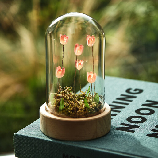 Close-up of pink illuminated flower buds and moss inside glass dome