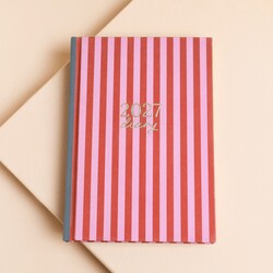 Pink and Burgundy Stripe 2027 Diary
