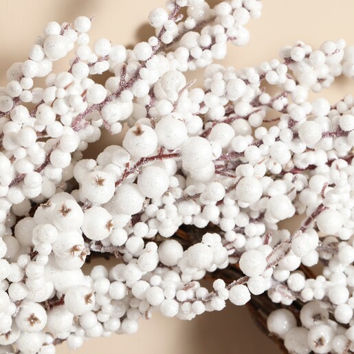 close up of frosty berries